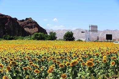 经典街机作品《埃及艳后宝石方块S-Tribute》归来